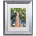 thumbnail image 1 of Trademark Fine Art 'Rainbow Tree' Canvas Art by Pierre Leclerc, White Matte, Silver Frame, 1 of 1