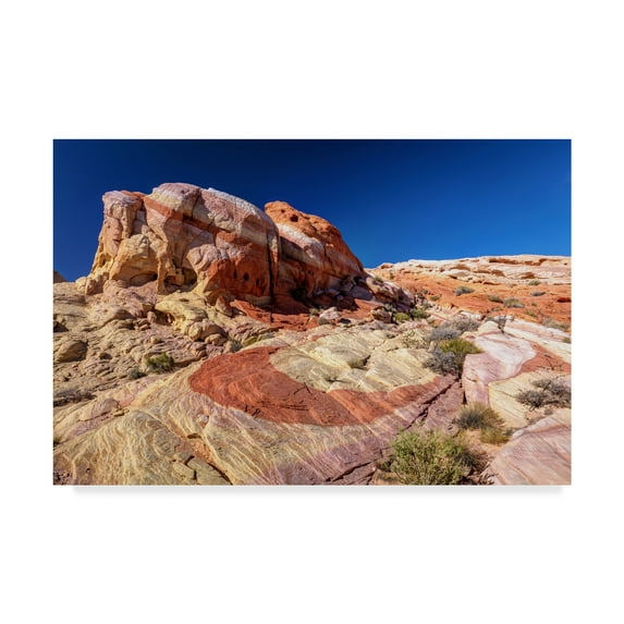 Trademark Fine Art 'Rainbow Vista' Canvas Art by Pierre Leclerc