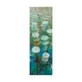 thumbnail image 1 of Trademark Fine Art 'Raindrops II' Canvas Art by Danhui Nai, 1 of 3
