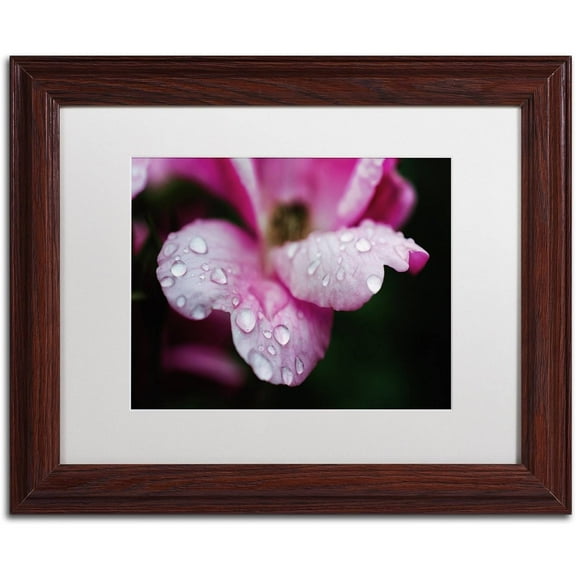 Trademark Fine Art 'Raindrops on Wild Rose Color' Canvas Art by PIPA Fine Art, White Matte, Wood Frame