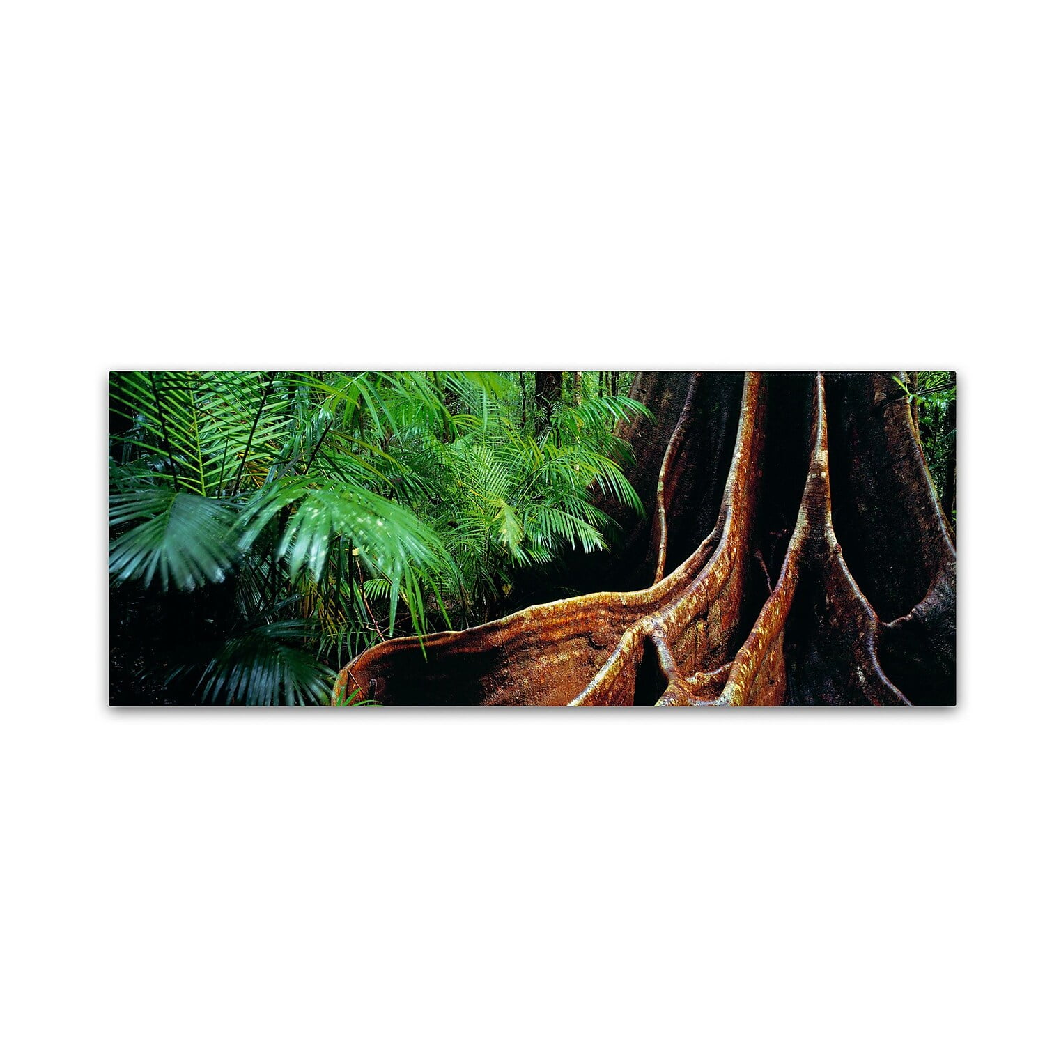 Large Green and Brown Canvas Landscape Photographic Print
