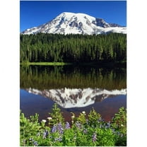 Trademark Fine Art "Rainier Wildflowers" Canvas Art by Pierre Leclerc