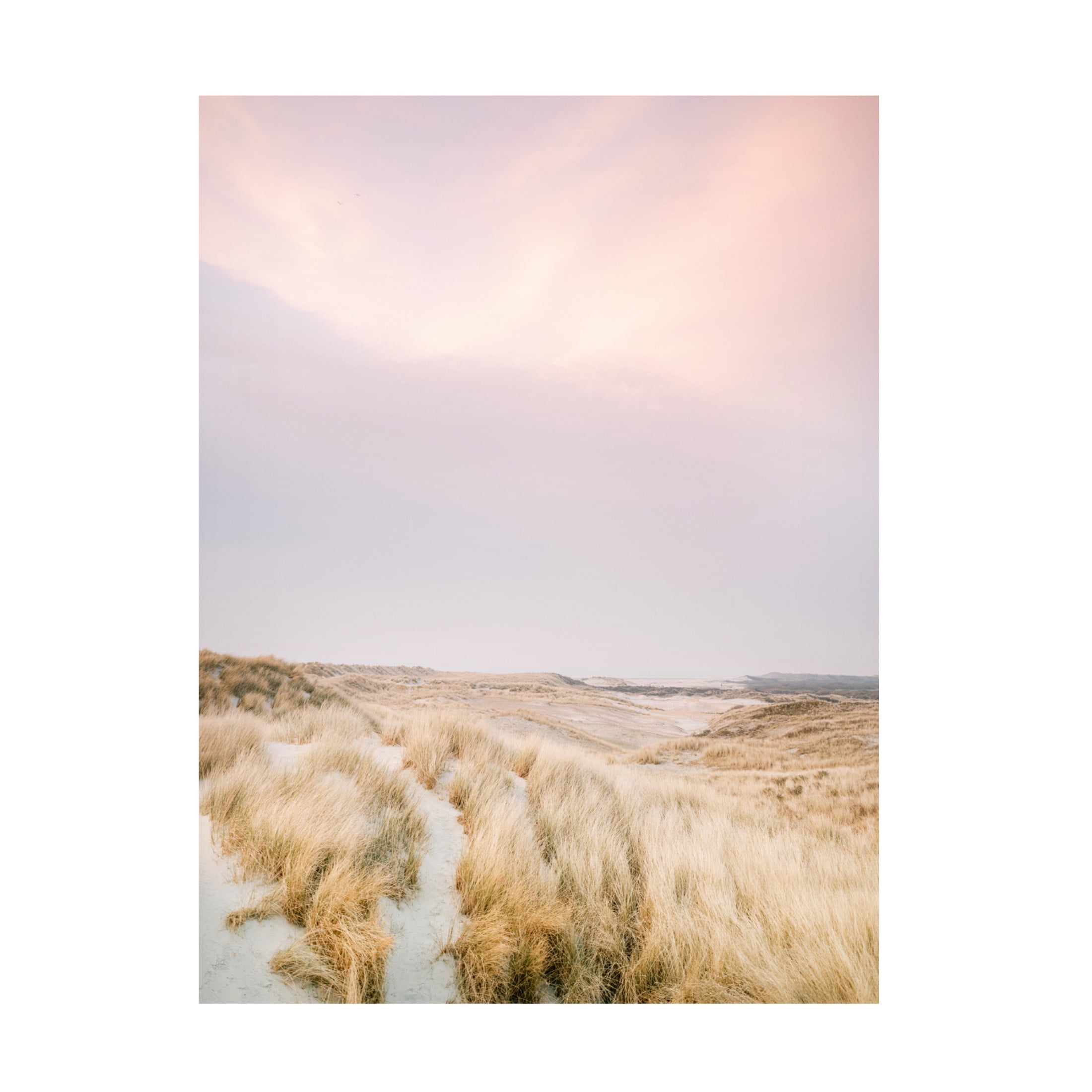 Trademark Fine Art Raisa Zwart Ameland Dunes 1 Canvas Wall Art