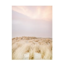 Trademark Fine Art Raisa Zwart Ameland Dunes 2 Canvas Wall Art