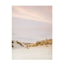 Trademark Fine Art Raisa Zwart Ameland Dunes 3 Canvas Wall Art