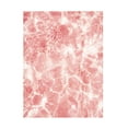 thumbnail image 1 of Trademark Fine Art Raisa Zwart Pink Water Canvas Wall Art, 1 of 4
