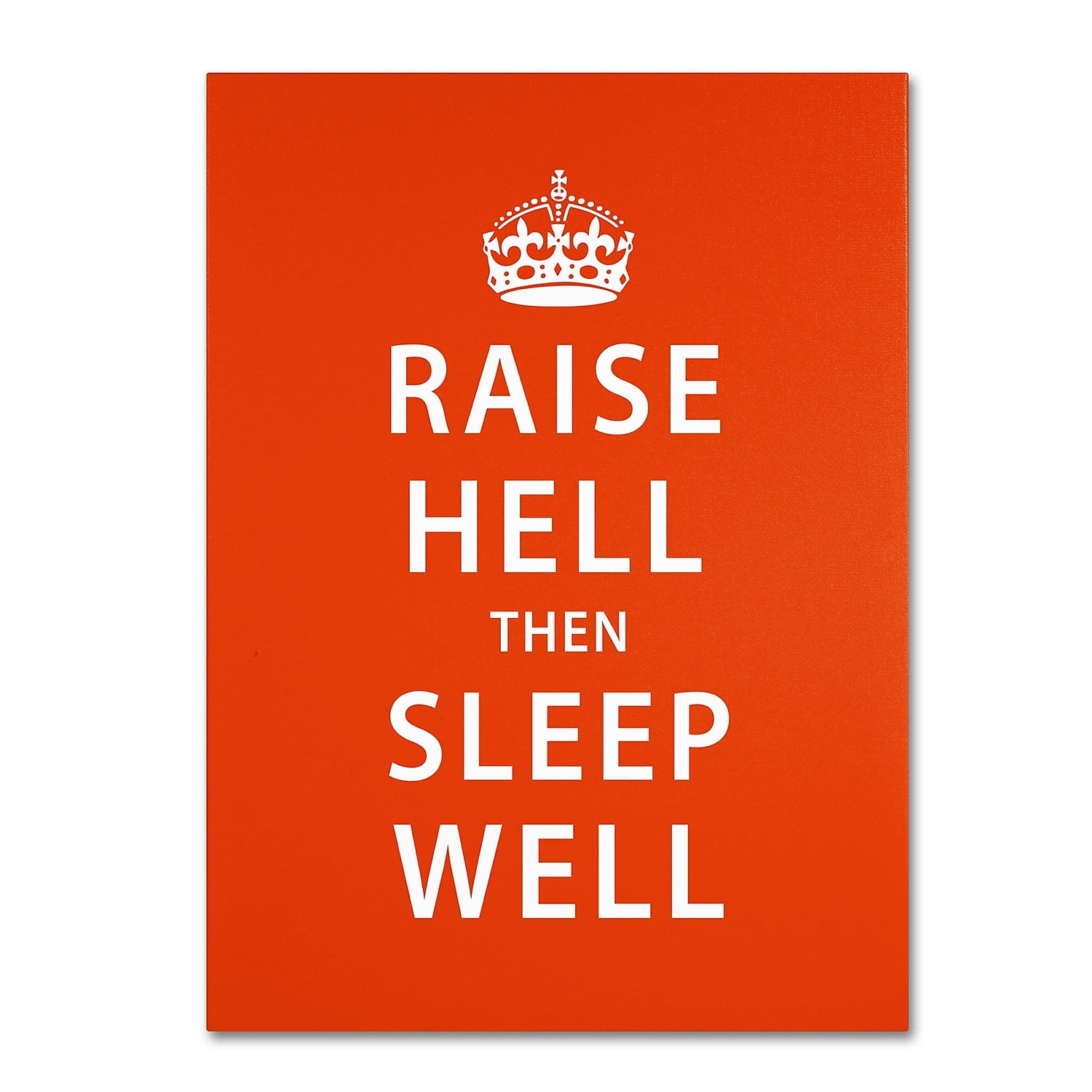 Trademark Fine Art "Raise Hell VI" Canvas Art by Megan Romo