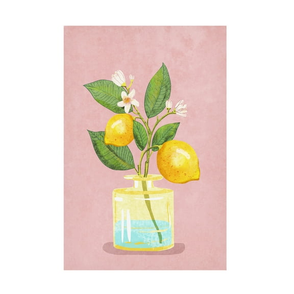 Trademark Fine Art Raissa Oltmanns  Lemon Bunch In Vase Canvas Wall Art