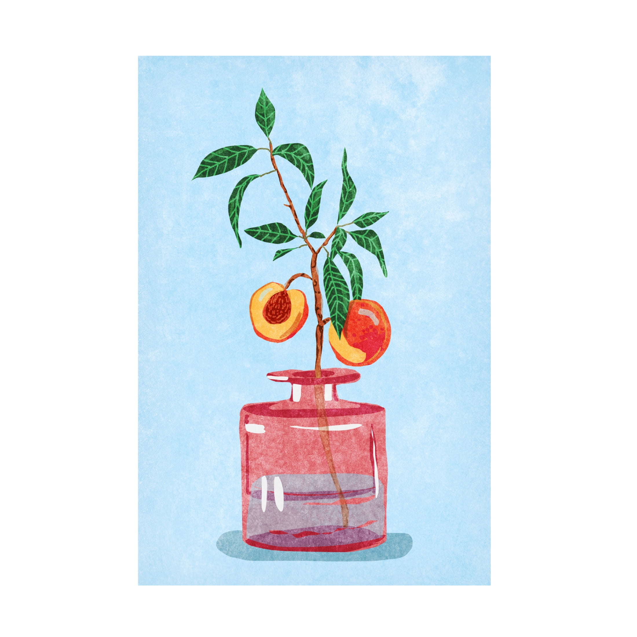 Trademark Fine Art Raissa Oltmanns  Peach Tree in Vase Canvas Wall Art