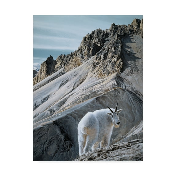Trademark Fine Art 'Ramparts Mountain Goats' Canvas Art by Ron Parker