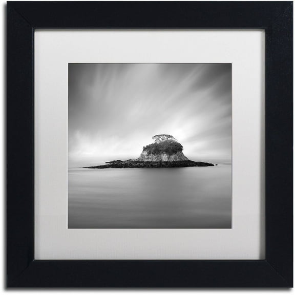Trademark Fine Art "Rat Island" Canvas Art by Moises Levy White Matte, Black Frame