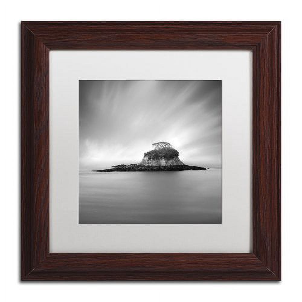Trademark Fine Art "Rat Island" Canvas Art by Moises Levy White Matte, Wood Frame