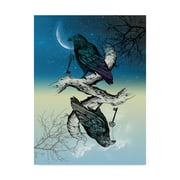 Trademark Fine Art 'Raven Night and Day' Canvas Art by Rachel Caldwell