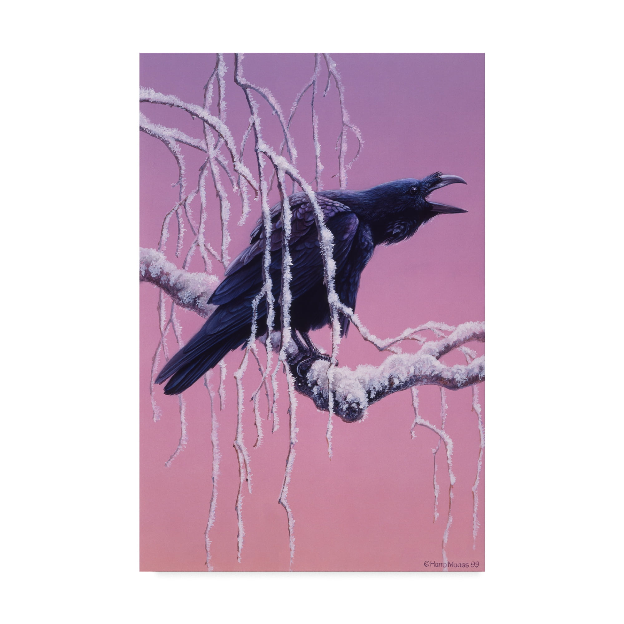 Trademark Fine Art 'Raven White Tree' Canvas Art by Harro Maass
