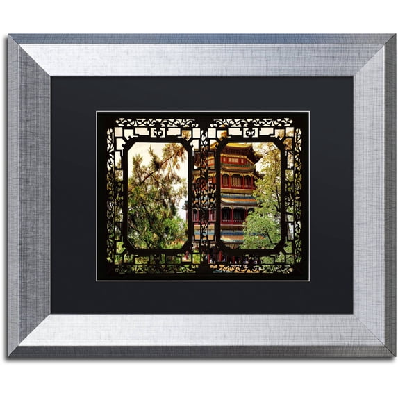 Trademark Fine Art "Ray of Light" Canvas Art by Philippe Hugonnard, Black Matte, Silver Frame