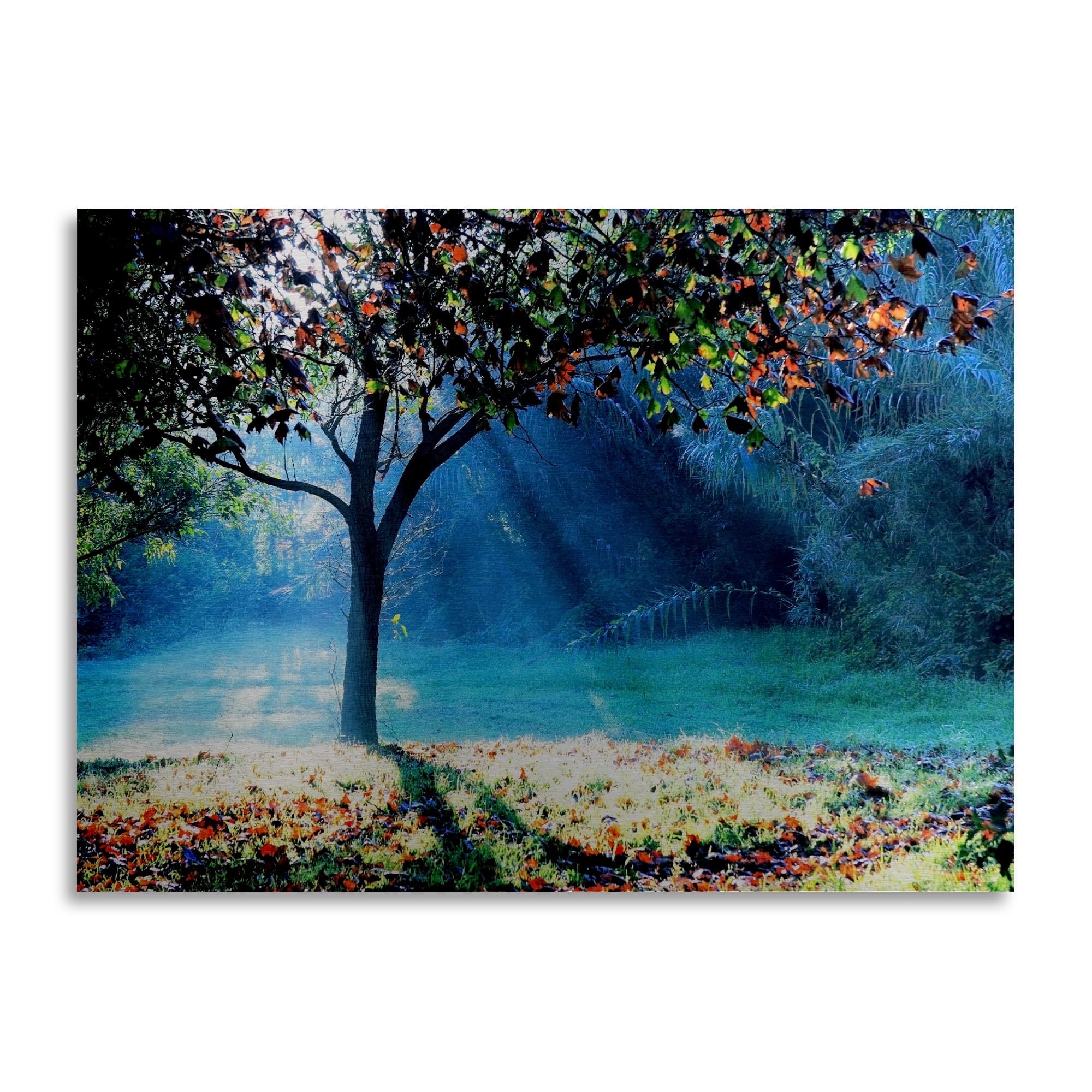 Trademark Fine Art 'Rays of Hope' Brushed Aluminum Wall Art Art by Beata Czyzowska Young