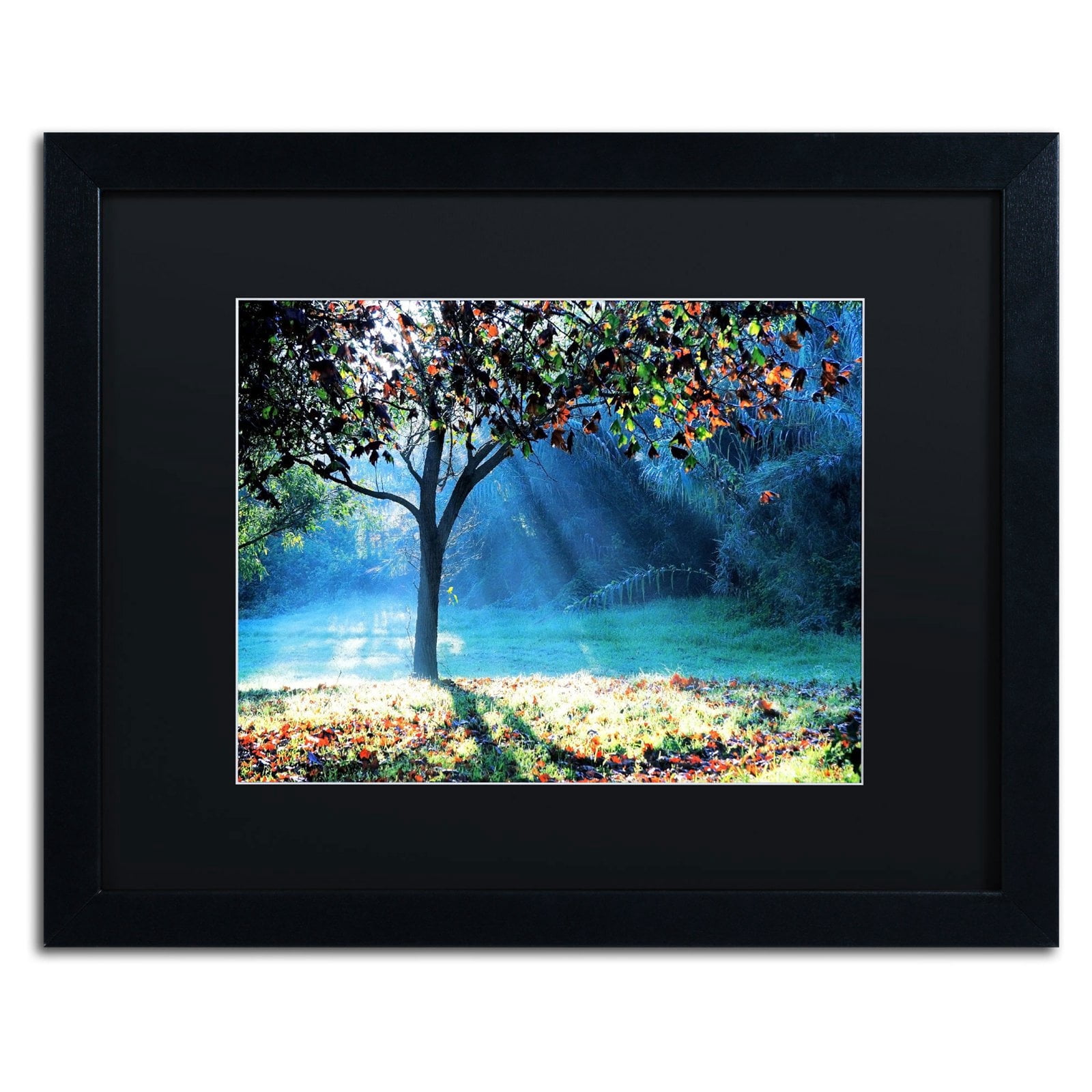 Trademark Fine Art "Rays of Hope" Canvas Art by Beata Czyzowska Young, Black Matte, Black Frame