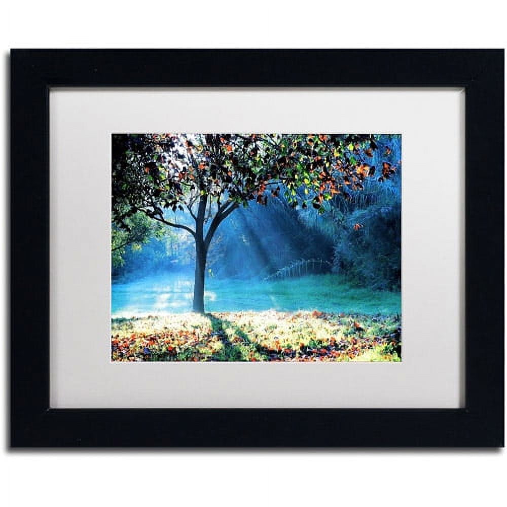 Trademark Fine Art "Rays of Hope" Canvas Art by Beata Czyzowska Young, White Matte, Black Frame
