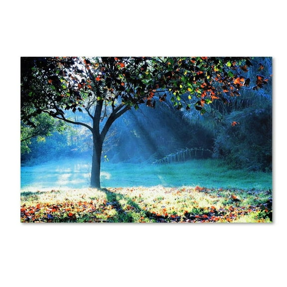 Trademark Fine Art "Rays of Hope" Canvas Art by Beata Czyzowska Young
