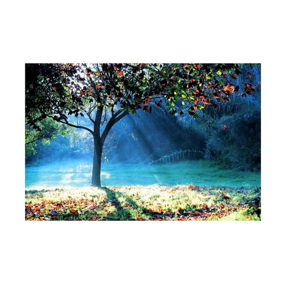 Trademark Fine Art Beata Czyzowska Young Rays of Hope Canvas Wall Art - 12x19