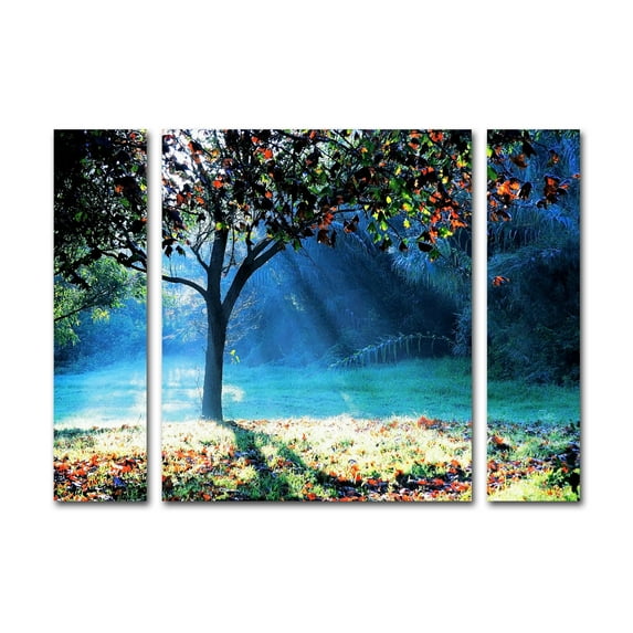 Beata Czyzowska Young 'Rays of Hope' Multi Panel Art Set Large