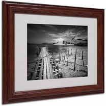 Trademark Fine Art "Reach" Framed Canvas Art by Michael de Guzman