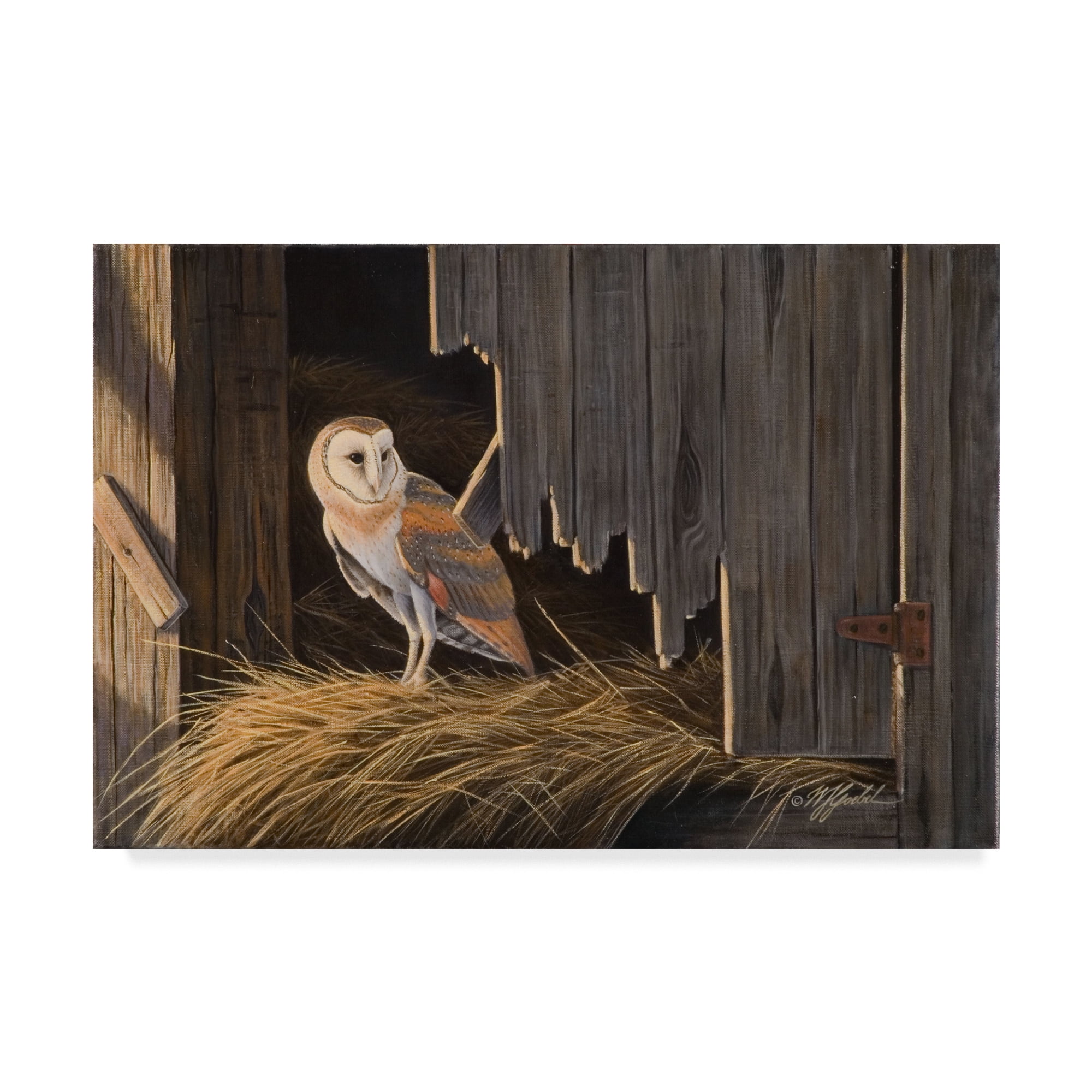 Trademark Fine Art 'Ready For The Hunt Barn Owl' Canvas Art by Wilhelm Goebel