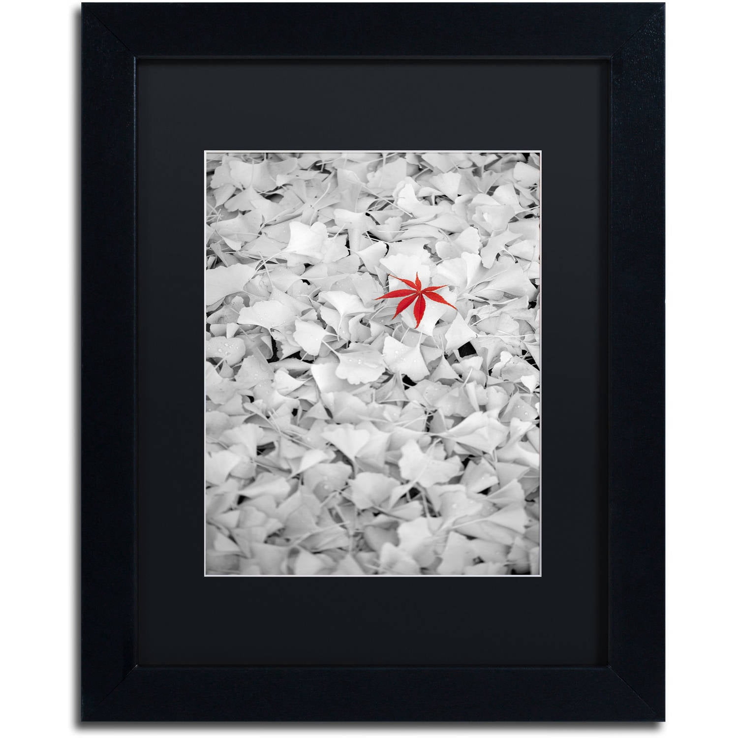 Trademark Fine Art "Rebel Leaf" Canvas Art by Philippe Sainte-Laudy Black Matte, Black Frame