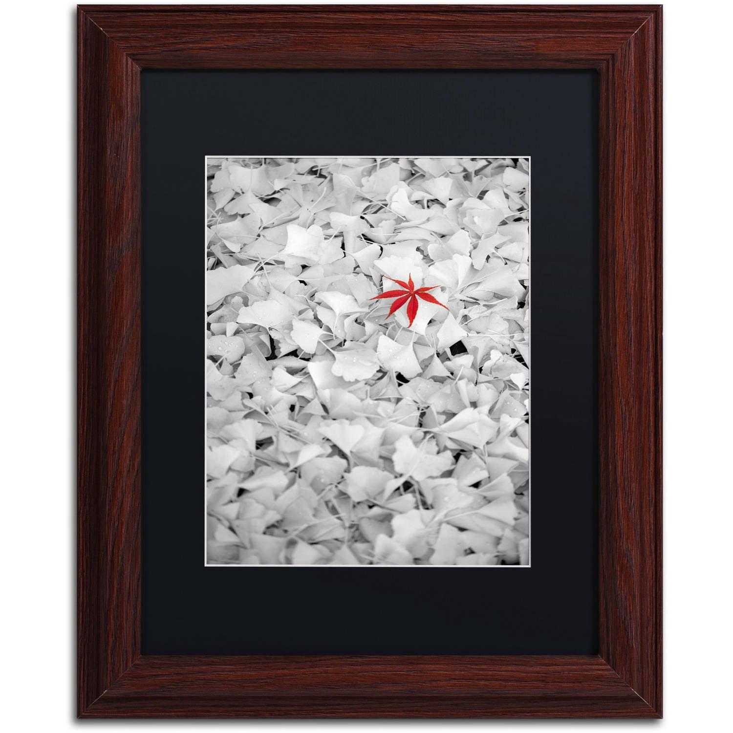 Trademark Fine Art "Rebel Leaf" Canvas Art by Philippe Sainte-Laudy Black Matte, Wood Frame