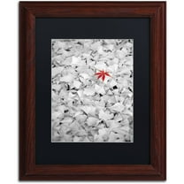 Trademark Fine Art "Rebel Leaf" Canvas Art by Philippe Sainte-Laudy Black Matte, Wood Frame