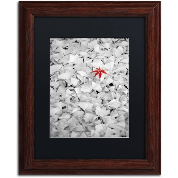 Trademark Fine Art "Rebel Leaf" Canvas Art by Philippe Sainte-Laudy Black Matte, Wood Frame