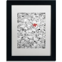 Trademark Fine Art "Rebel Leaf" Canvas Art by Philippe Sainte-Laudy White Matte, Black Frame