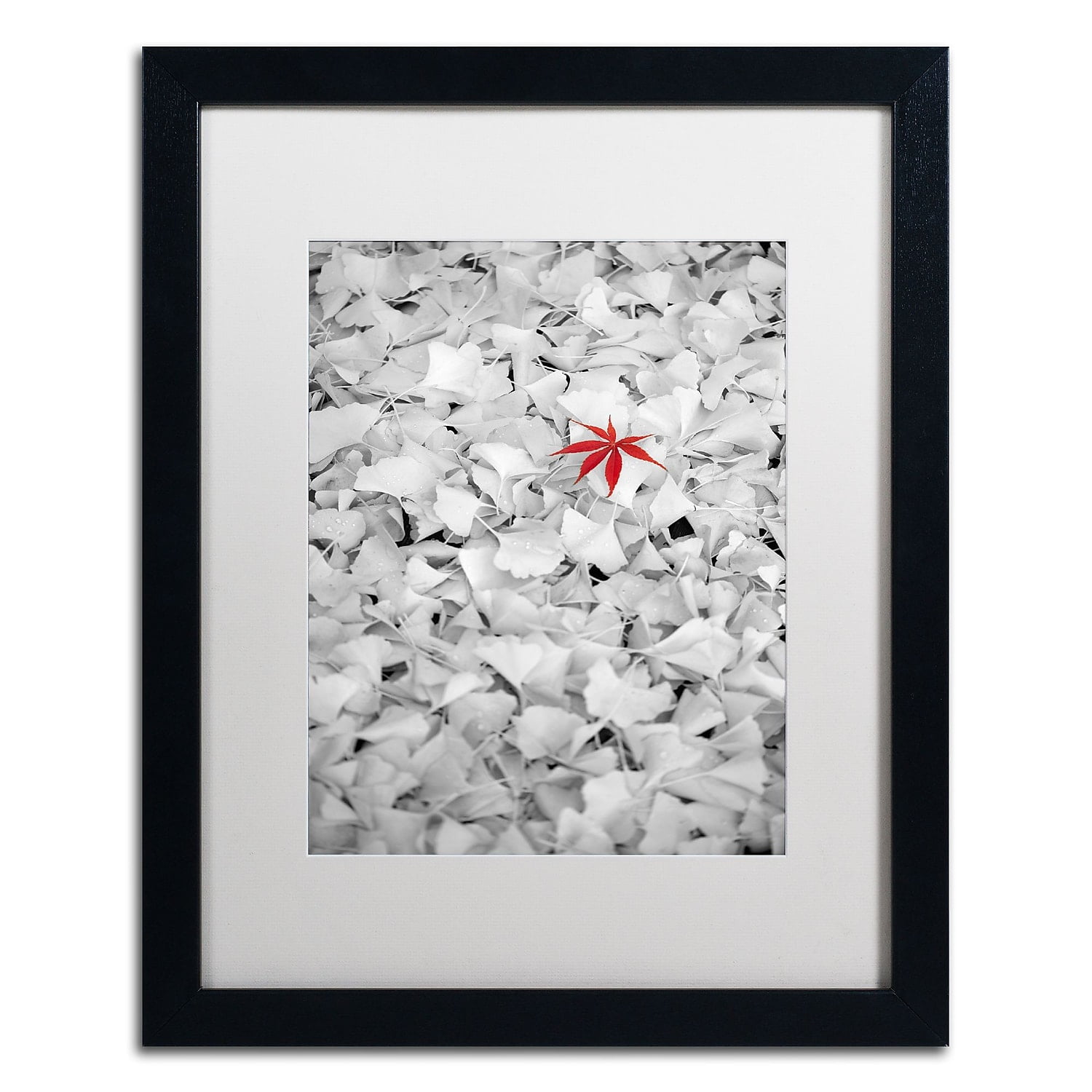 Trademark Fine Art "Rebel Leaf" Canvas Art by Philippe Sainte-Laudy White Matte, Black Frame