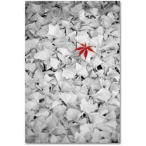 Trademark Fine Art "Rebel Leaf" Canvas Art by Philippe Sainte-Laudy