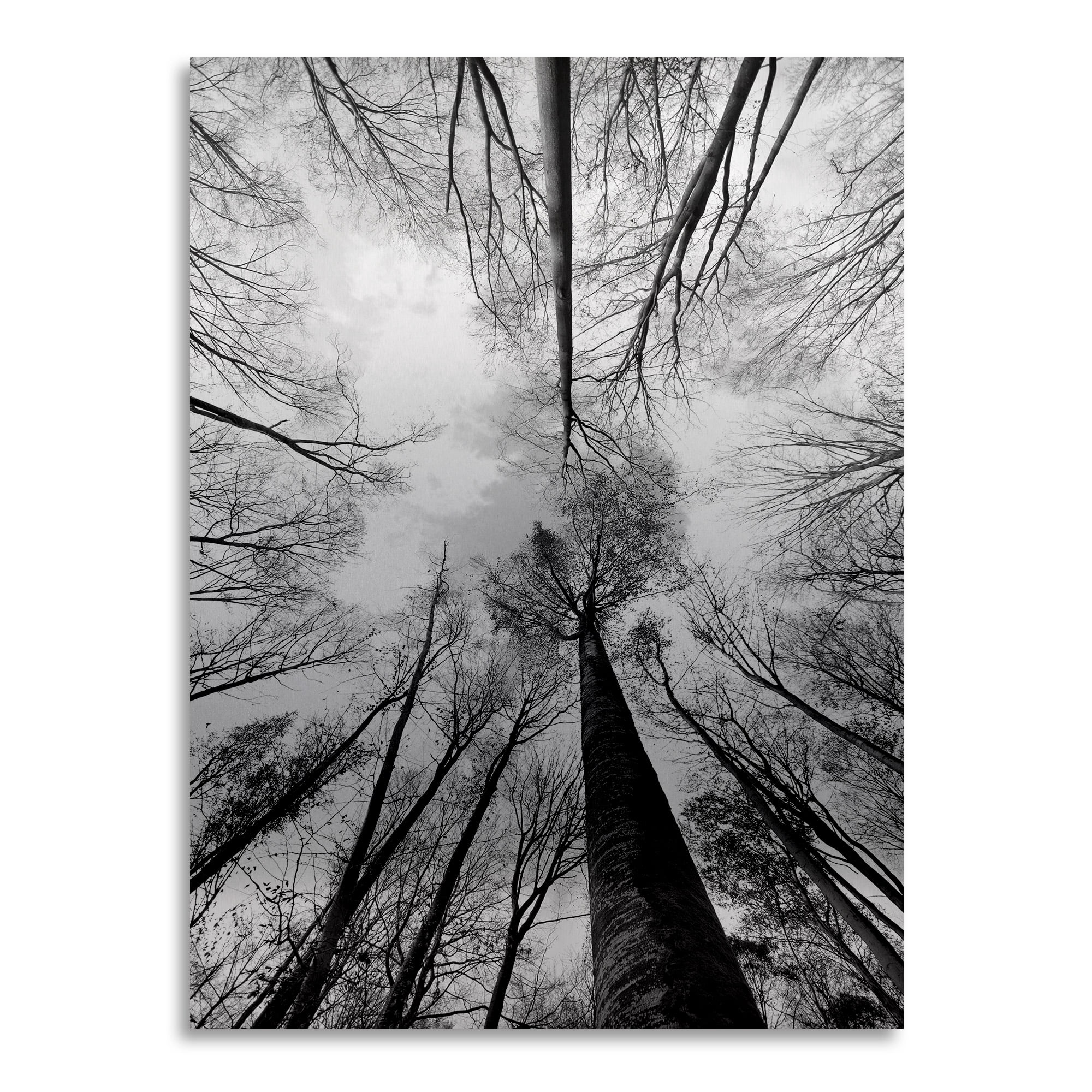 Trademark Fine Art 'Recall the Days' Brushed Aluminum Wall Art Art by Philippe Sainte-Laudy