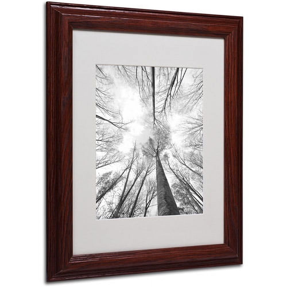 Trademark Fine Art "Recall the Days" Canvas Art by Philippe Sainte-Laudy, Wood Frame