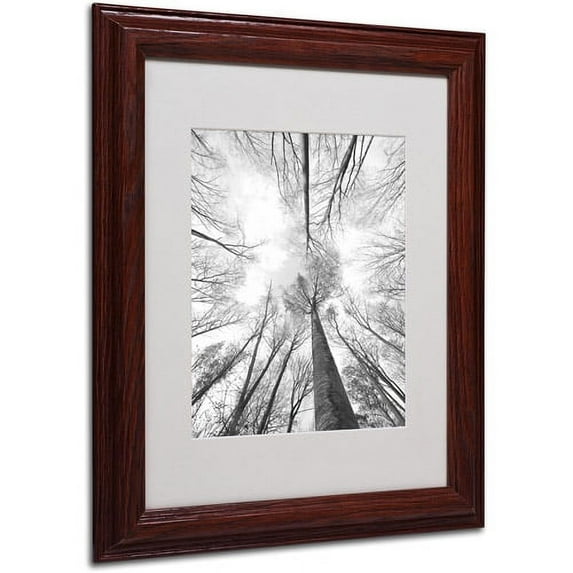 Trademark Fine Art "Recall the Days" Canvas Art by Philippe Sainte-Laudy, Wood Frame