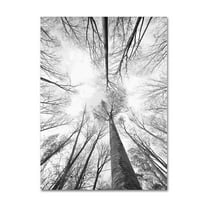 Trademark Fine Art "Recall the Days" Canvas Art by Philippe Sainte-Laudy