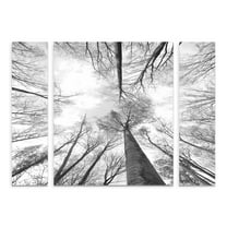 Trademark Fine Art 'Recall the Days' Canvas Art by Philippe Sainte-Laudy