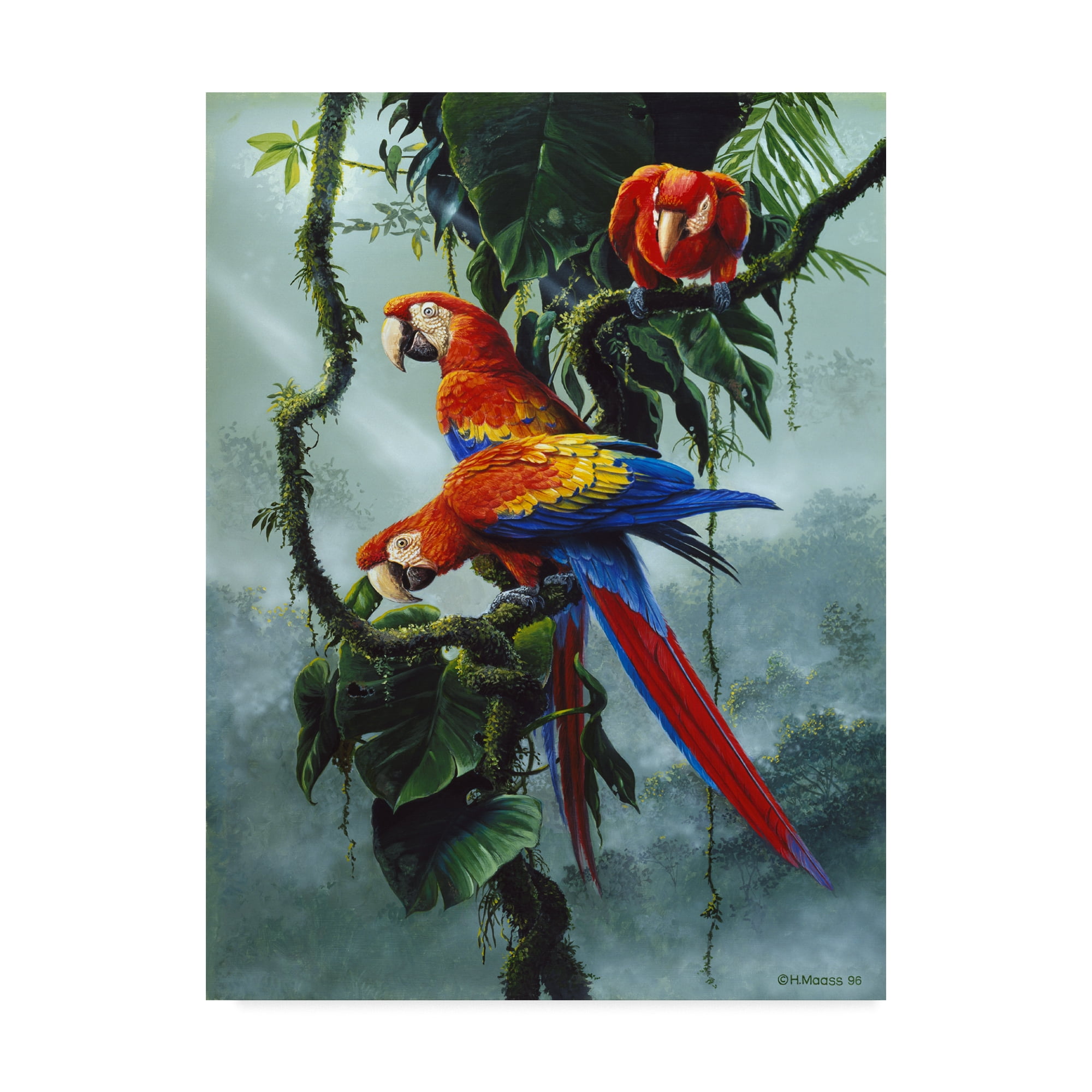 Harro Maass Red and Yellow Macaws Gallery-Wrapped Canvas Art