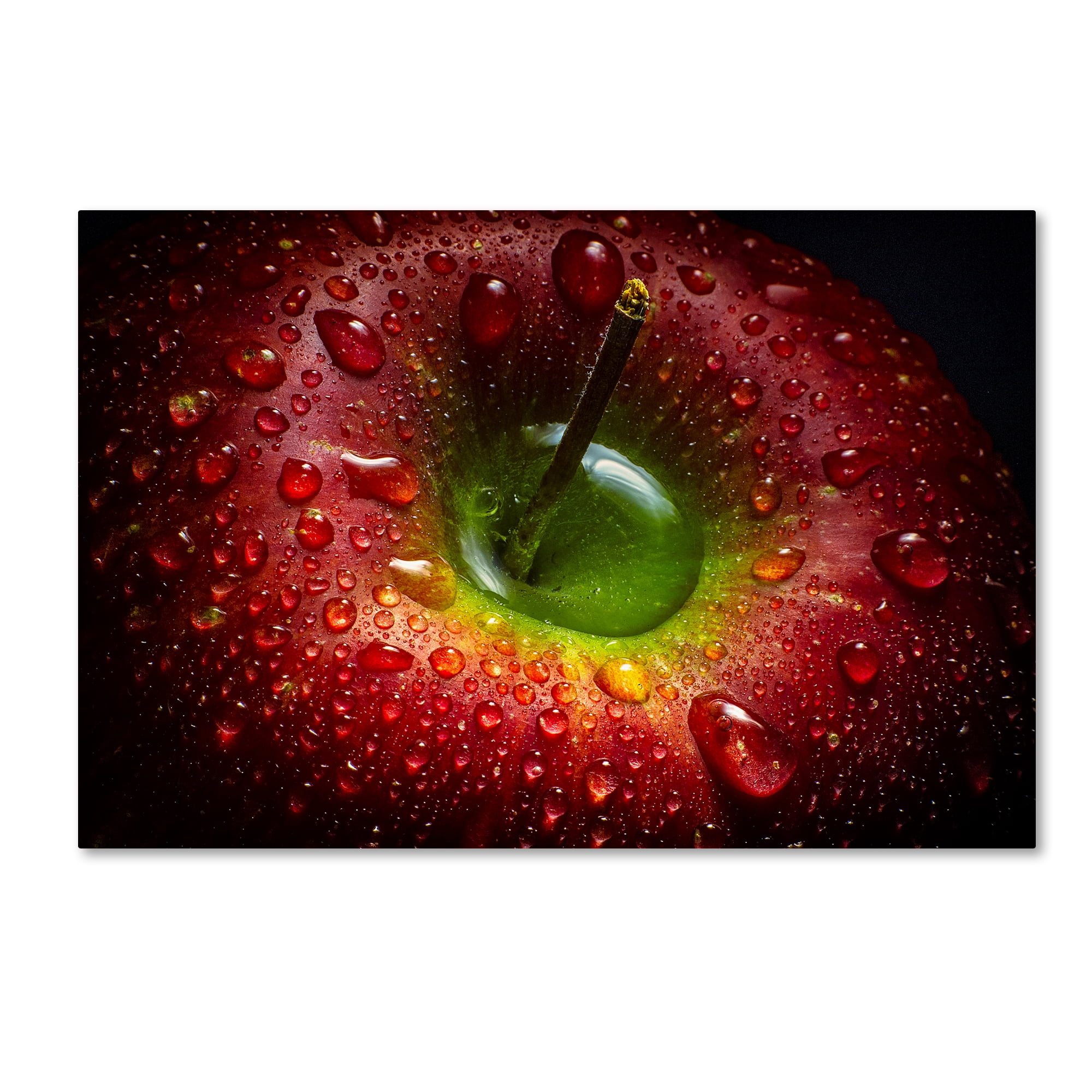 Trademark Fine Art 'Red Apple' Canvas Art by Aida Ianeva