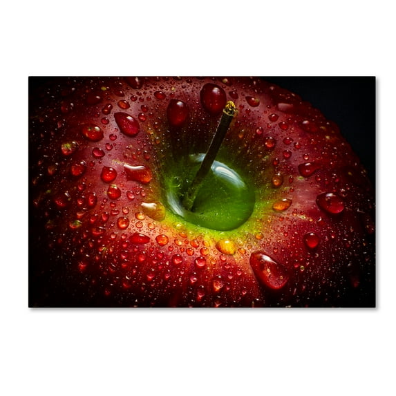 Trademark Fine Art 'Red Apple' Canvas Art by Aida Ianeva