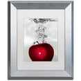 thumbnail image 1 of Trademark Fine Art "Red Apple Splash" Canvas Art by Roderick Stevens White Matte, Silver Frame, 1 of 1