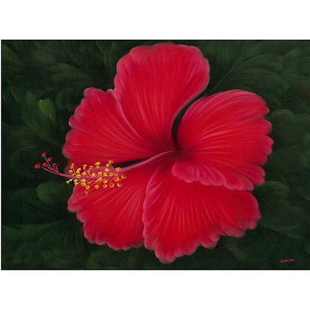 Trademark Fine Art "Red" Canvas Wall Art by Rio