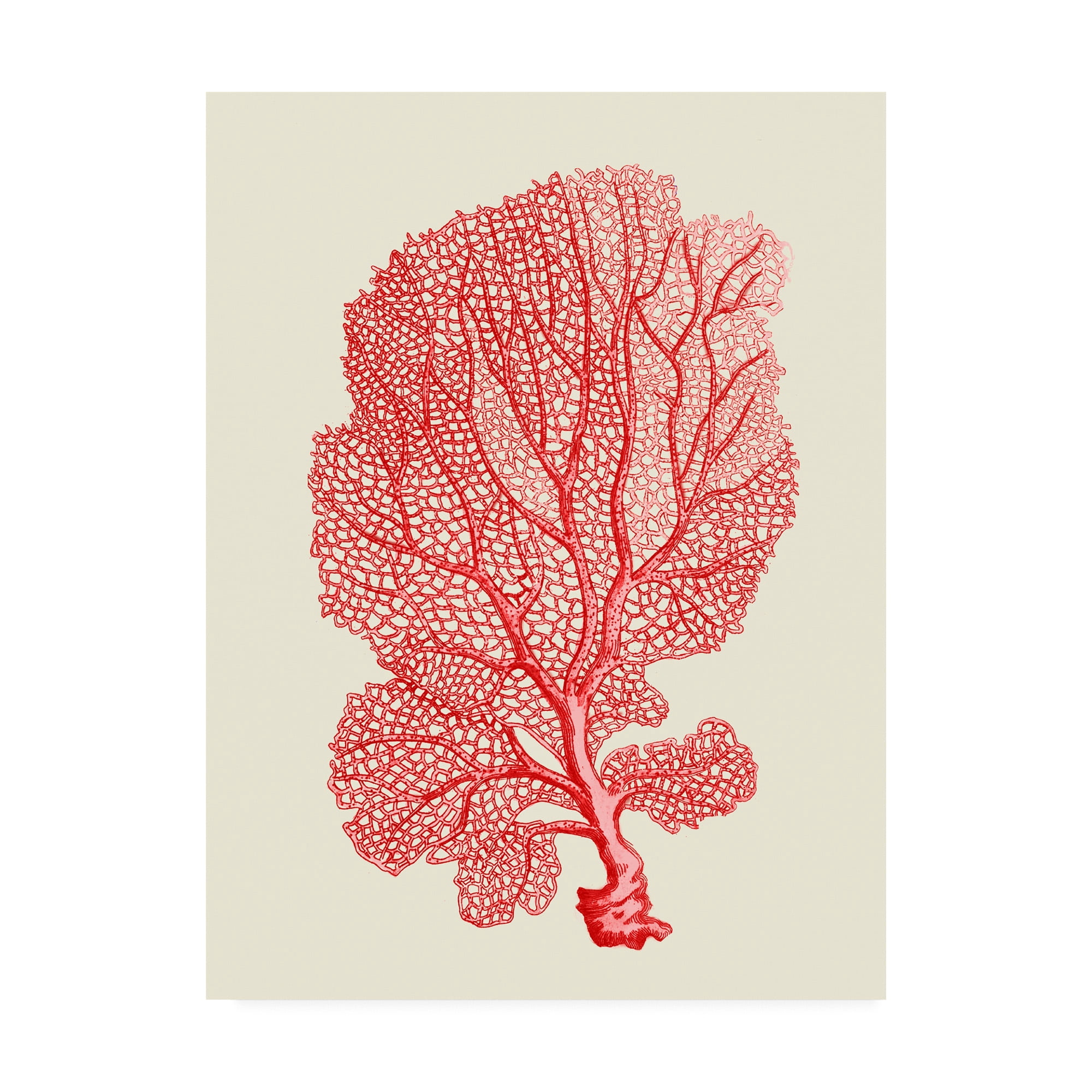 Trademark Fine Art 'Red Corals 1 b' Canvas Art by Fab Funky