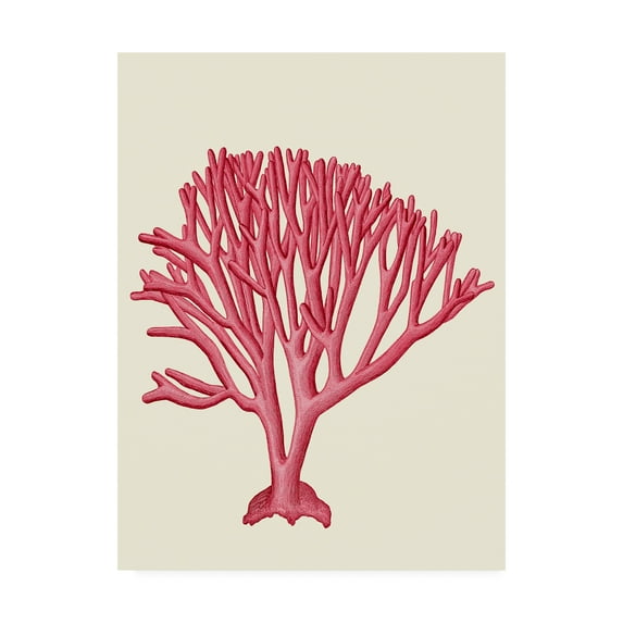 Trademark Fine Art 'Red Corals 1 c' Canvas Art by Fab Funky