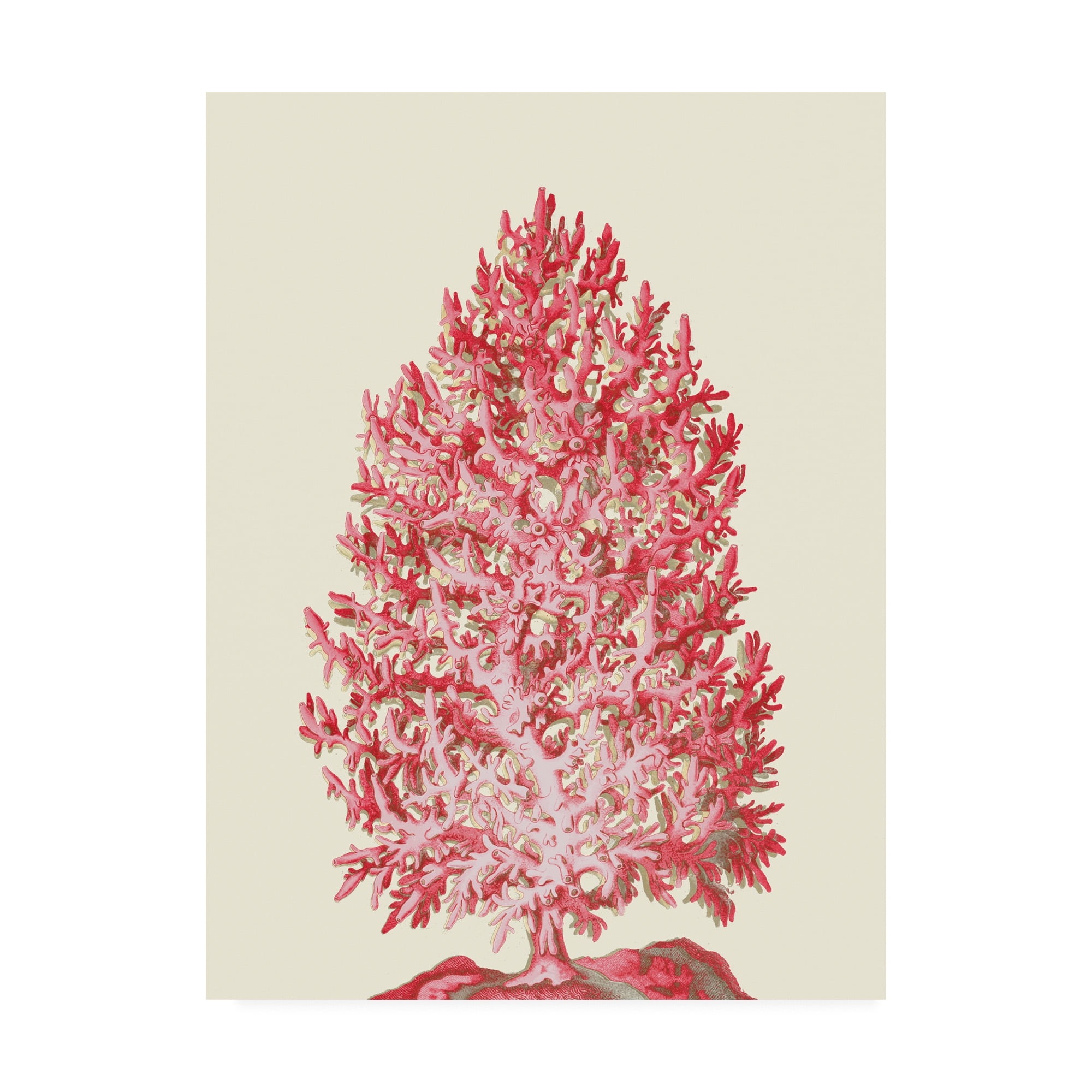 Trademark Fine Art 'Red Corals 1 d' Canvas Art by Fab Funky