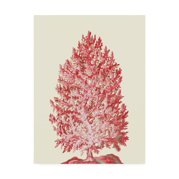 Trademark Fine Art 'Red Corals 1 d' Canvas Art by Fab Funky