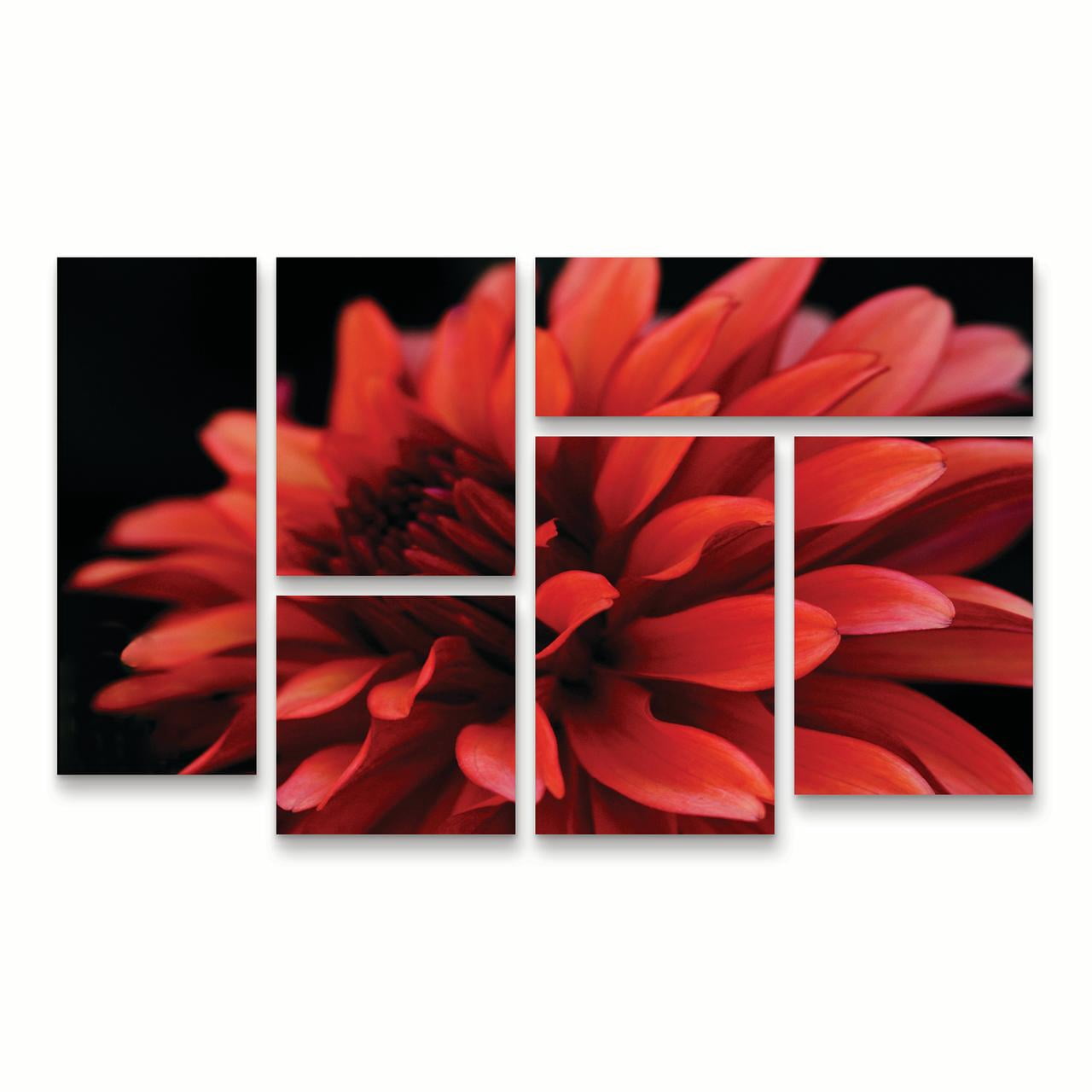 Trademark Fine Art 'Red Dahlia' Canvas Art by Kurt Shaffer