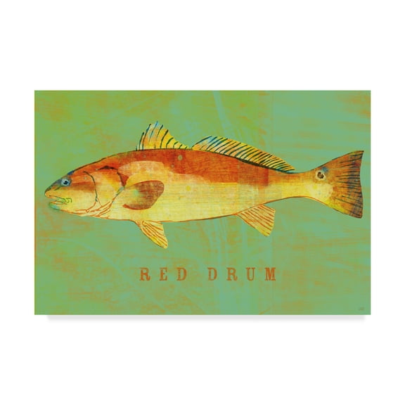 Trademark Fine Art 'Red Drum' Canvas Art by John W. Golden